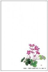 2009年年賀状の裏面